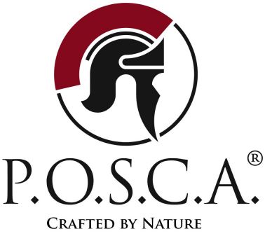 Member Introduction: P.O.S.C.A. GmbH